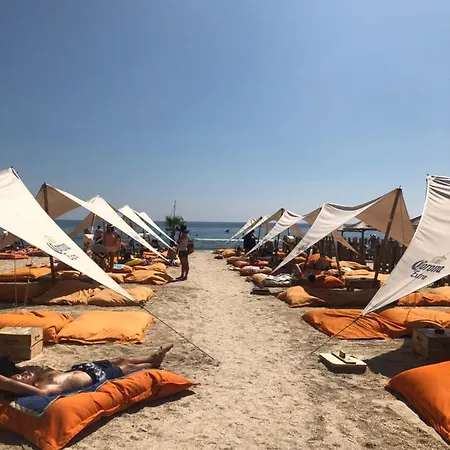 Crazy Beachview Mamaia