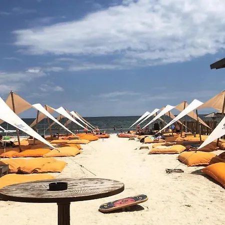 Crazy Beachview Mamaia